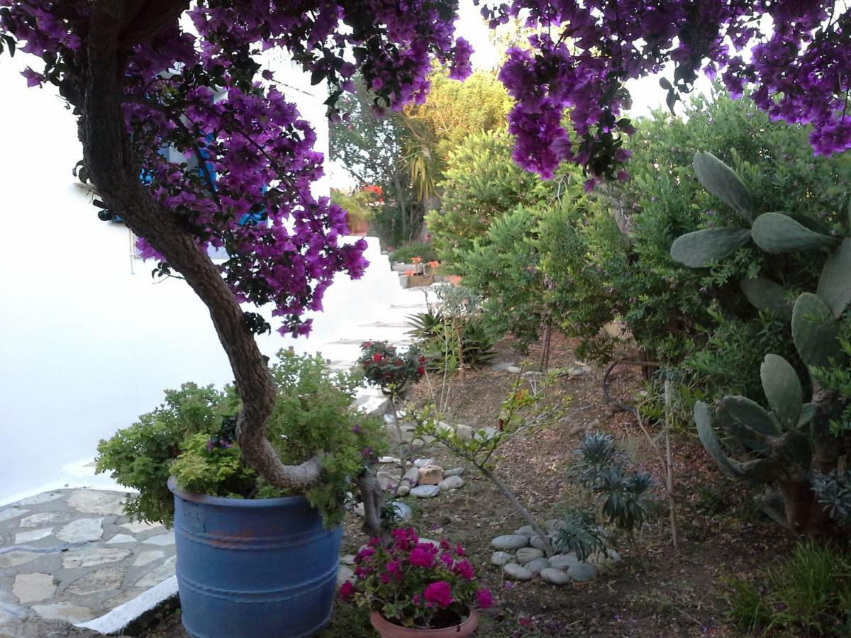 Aloni Apartment Kamilari