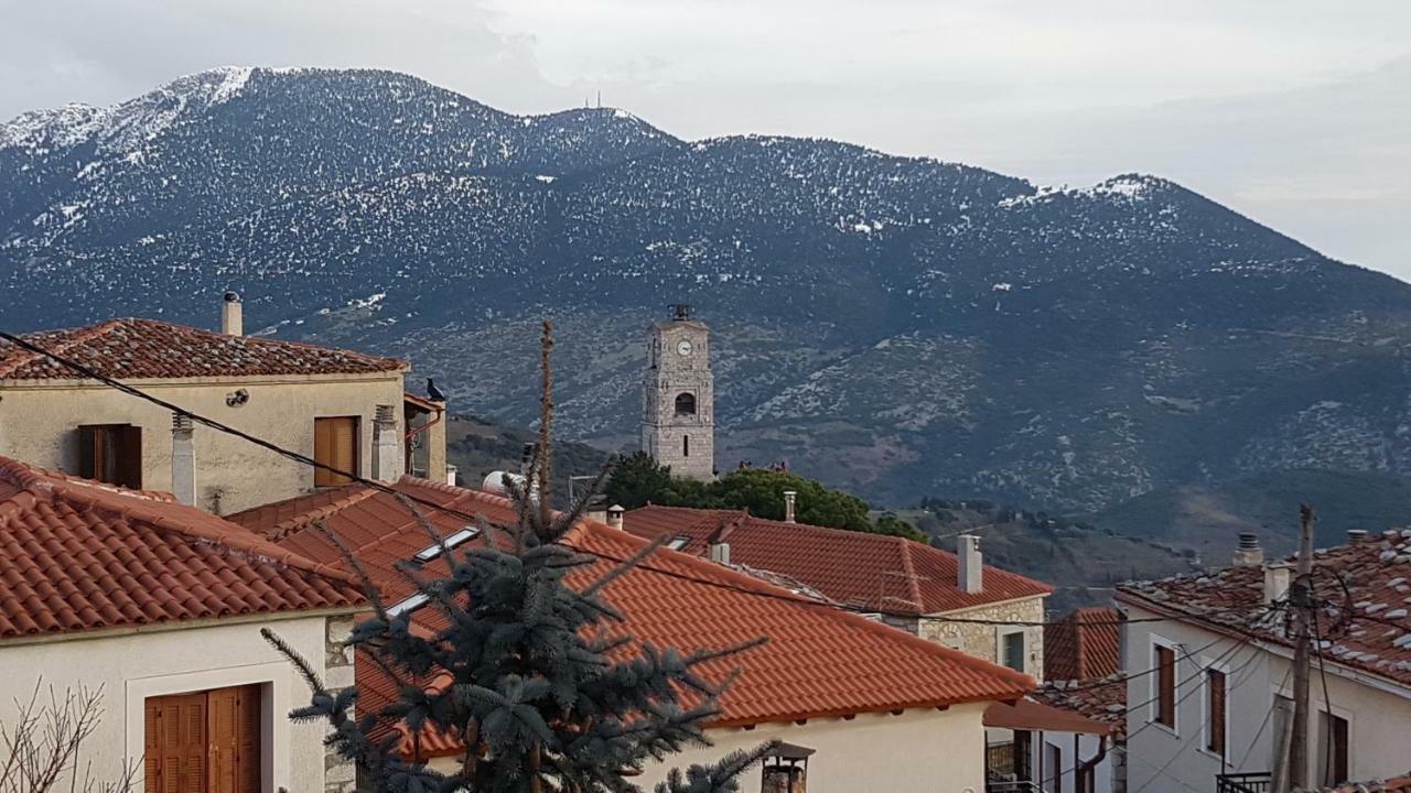 Apartment Pano's House Arachova