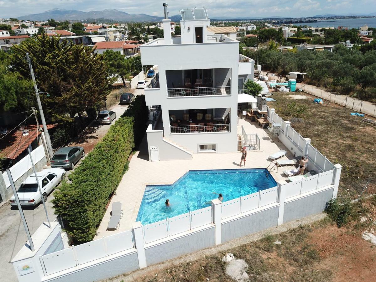 Apartment D'irene-near Athens Airport , 200 Meters From The Davis Artemida (Attica)