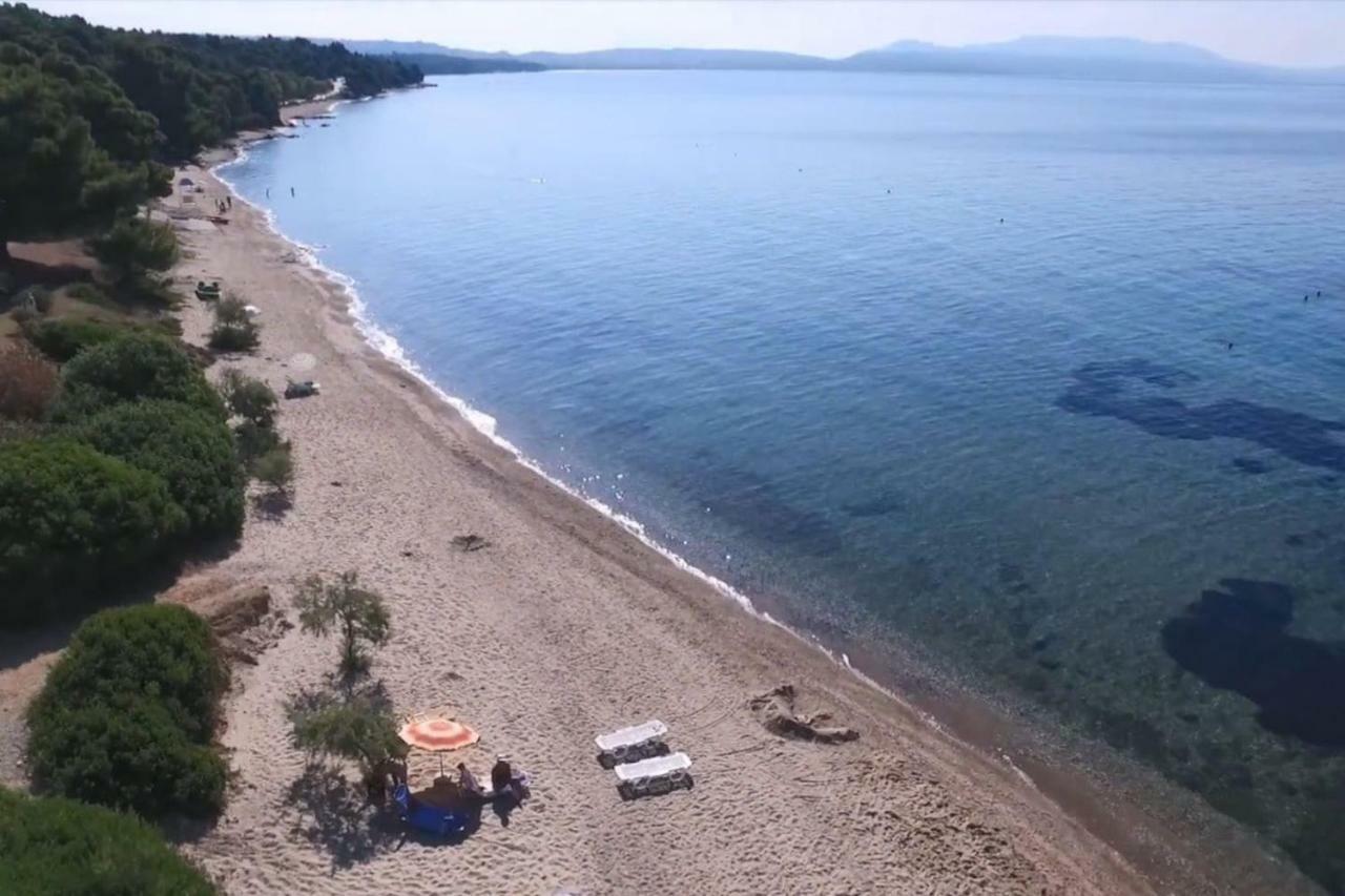 Metamorphosis - Halkidiki On The Metamorfosi (Sithonia)