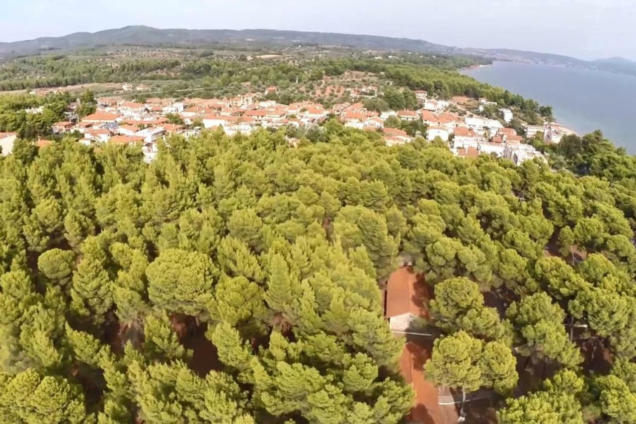 Metamorphosis - Halkidiki On The *