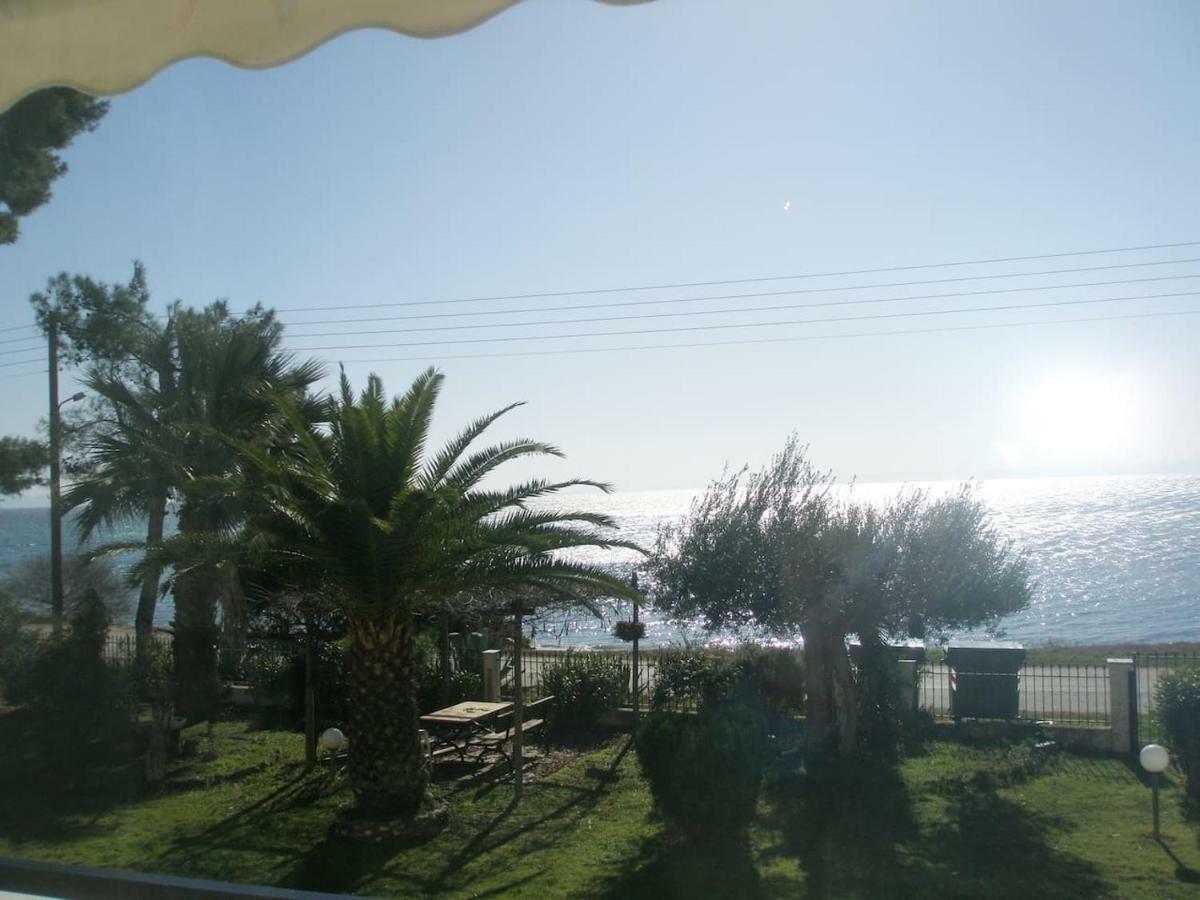 Metamorphosis - Halkidiki On The