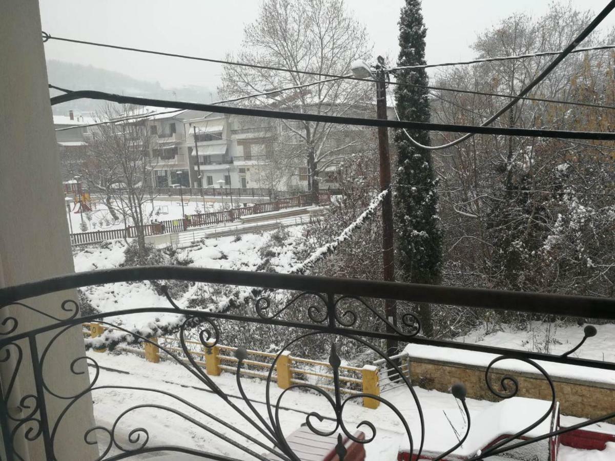 Iliana's House
