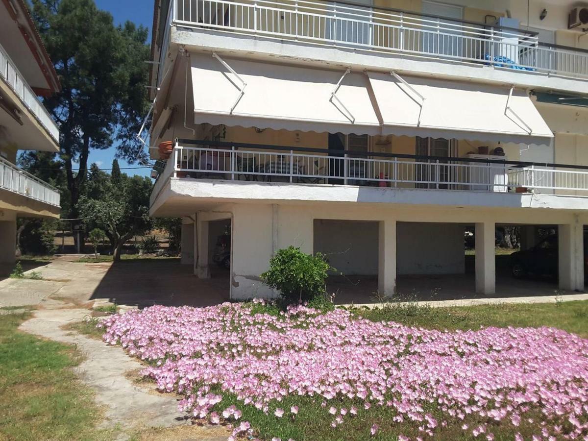 Metamorphosis - Halkidiki On The * Metamorfosi (Sithonia)