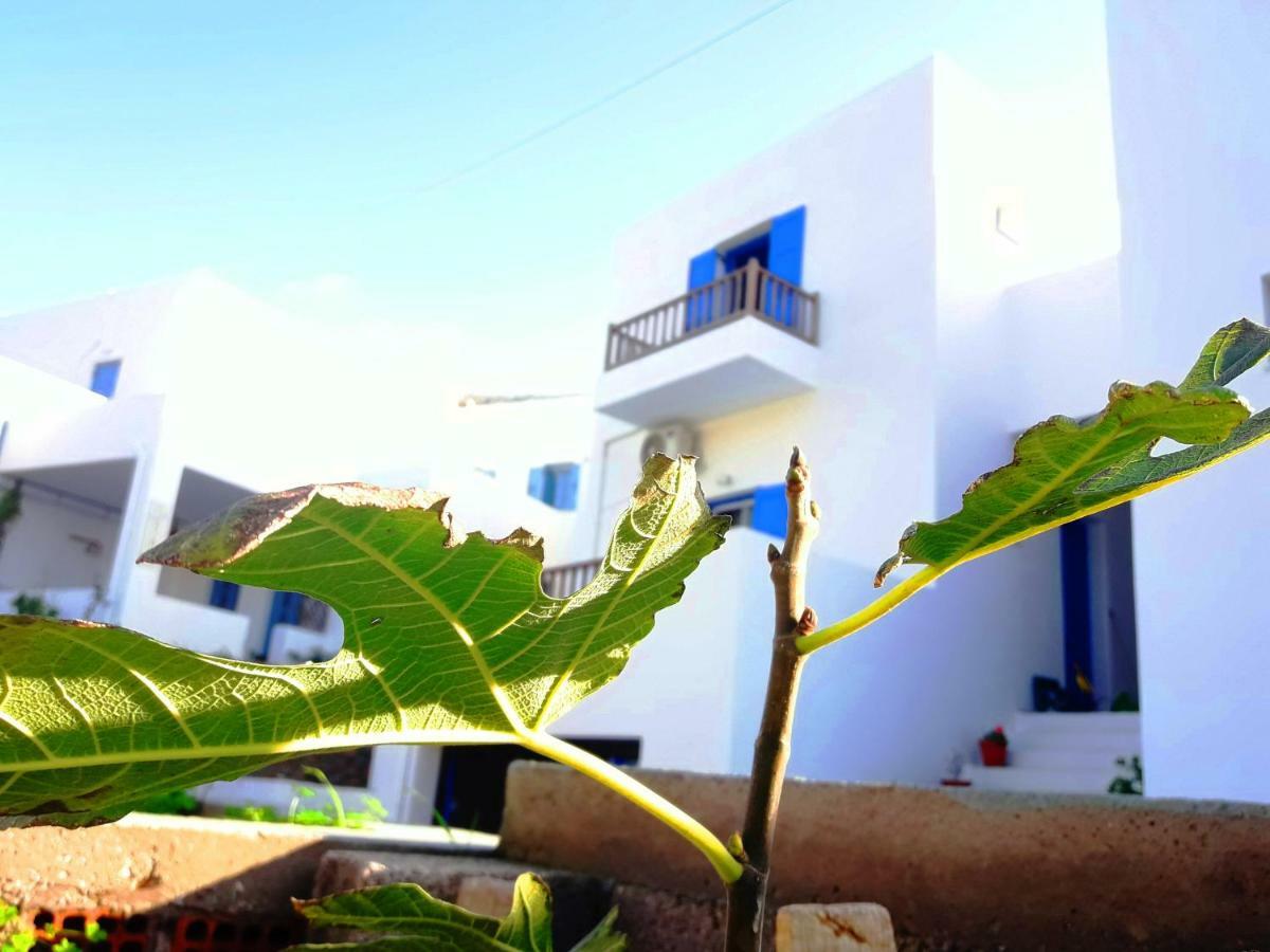 Holiday home Larinaki's No3