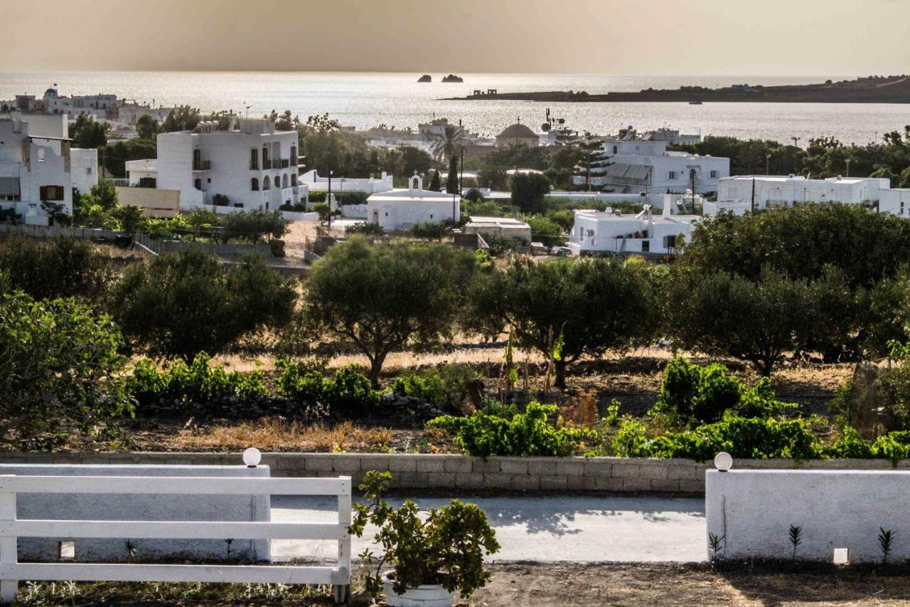 Ble Parikia (Paros)