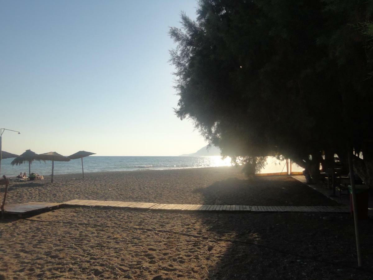 Coral Sea