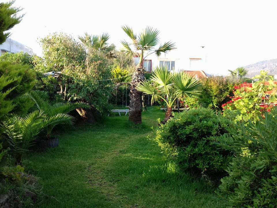 Georgia Seaside Hersonissos (Crete)
