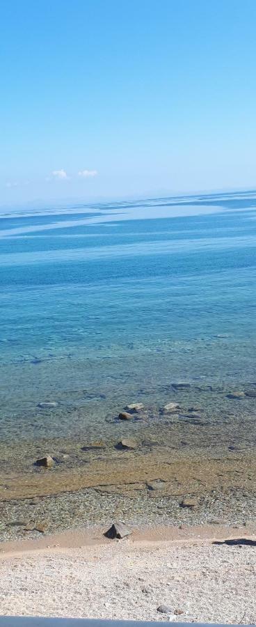 Albatross Seafront House Apartment Naxos City