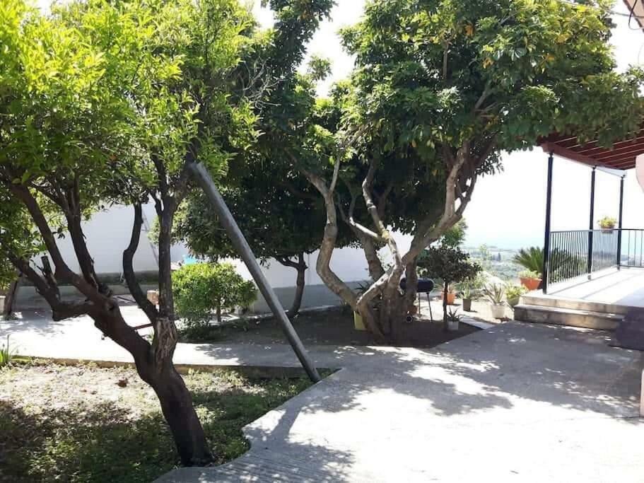 Mema's Great View Kefalonia Apartment *