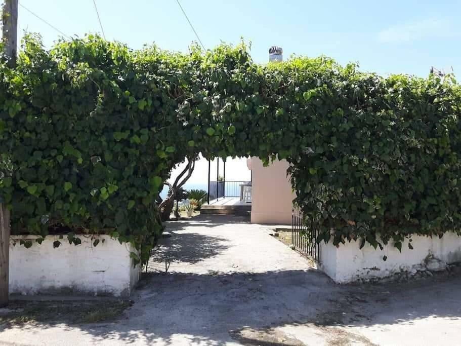 Mema's Great View Kefalonia Apartment