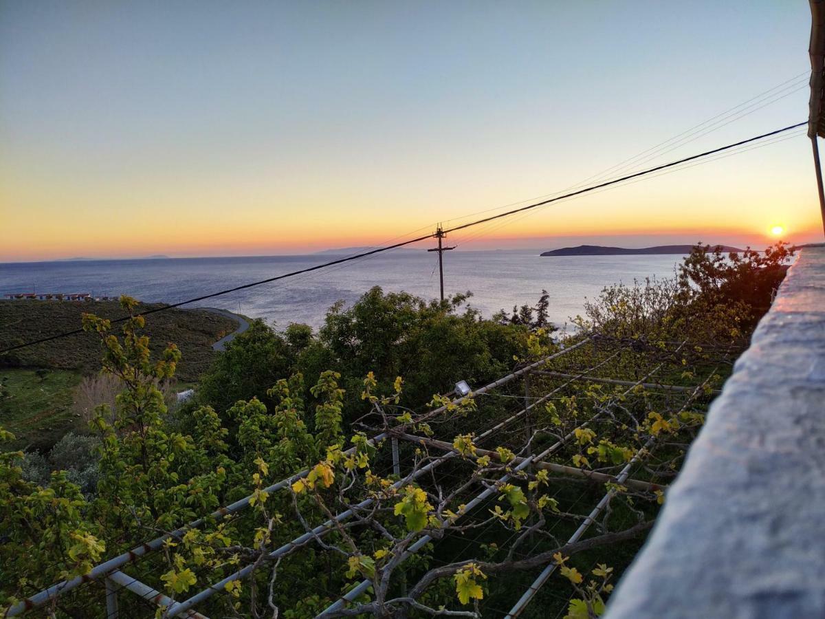 Silver View