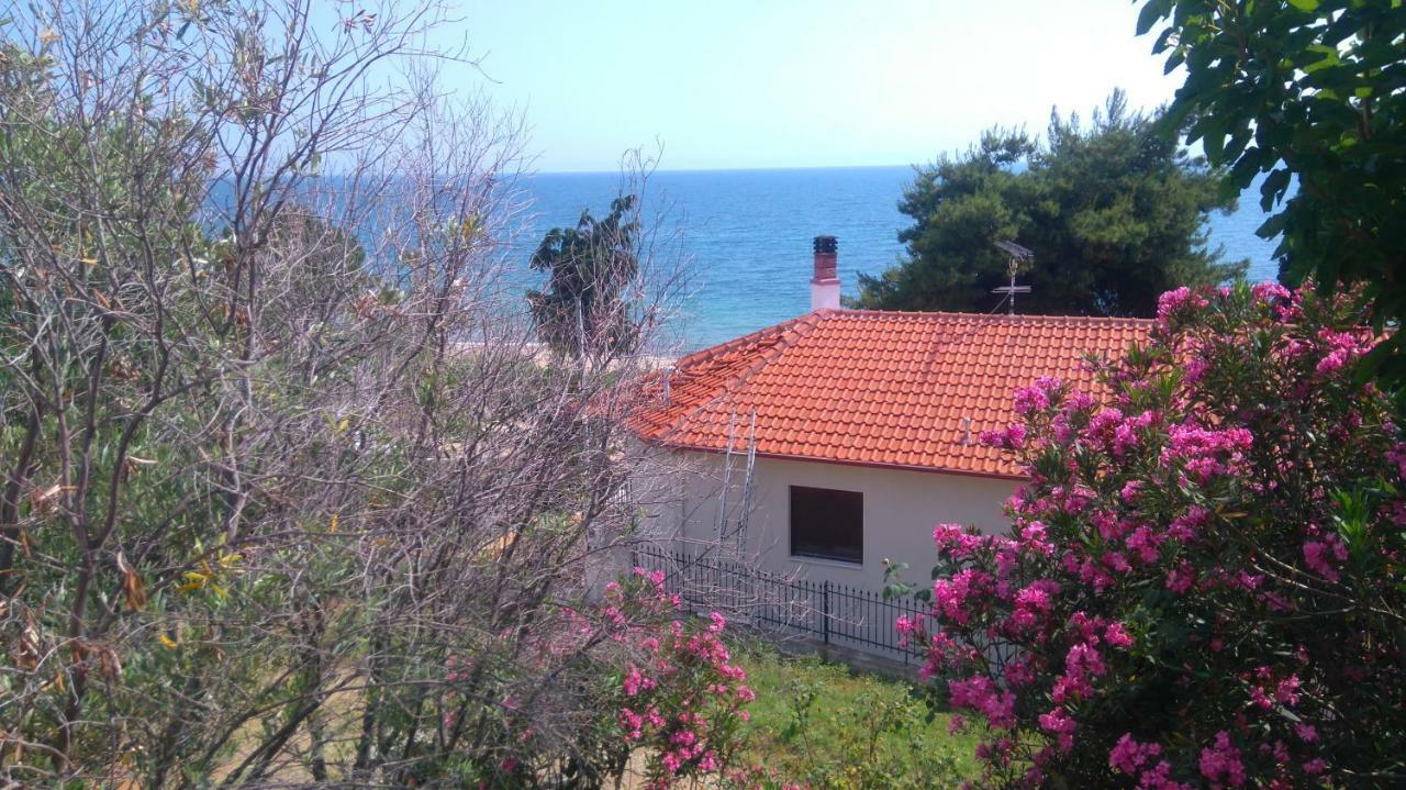 Maisonette Close To The * Nikiti (Sithonia)