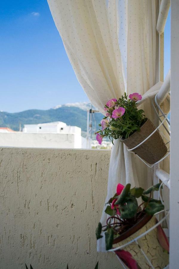 Inspiration Guestroom With Amazing Roof Garden Athens