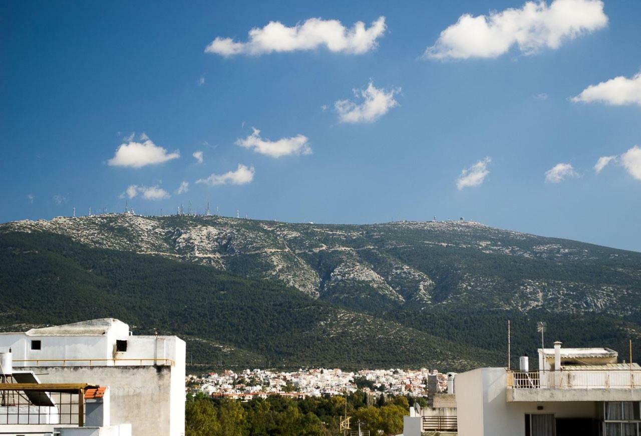 Guest house Inspiration Guestroom With Amazing Roof Garden Athens
