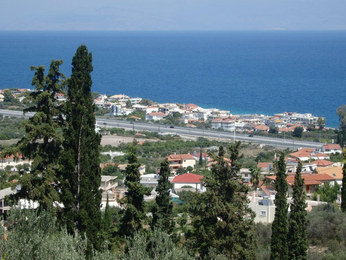 View To Paradise At Melissi Apartment