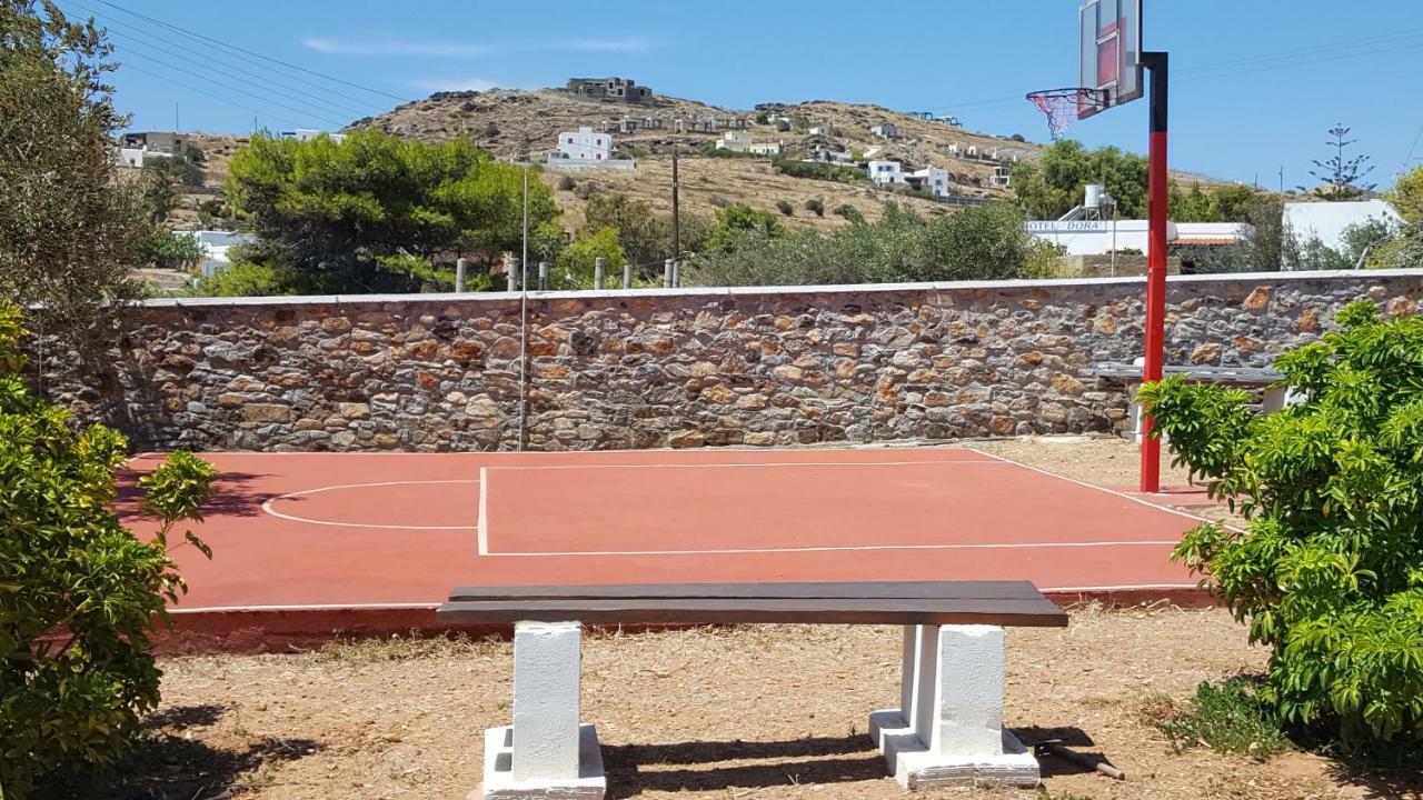 Flora's And Pool In Syros Villa *