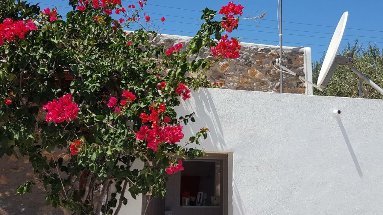 Villa Flora's And Pool In Syros Liaropa