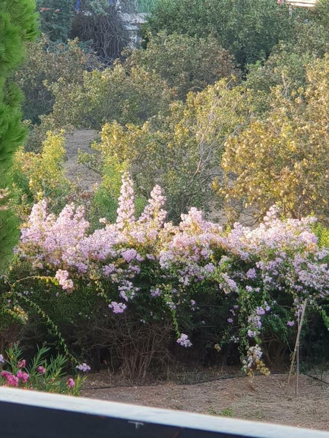 Beachfront/lagonisi/sounio * Lagonisi