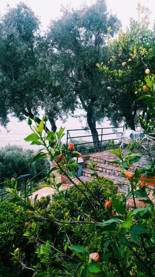 Apartment Fourtuna Agios Ioannis Peristeron (Corfu)