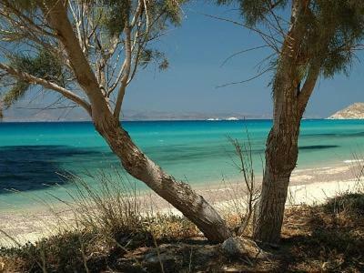 Palmos Self-catering With Sea View Kastraki (Naxos)