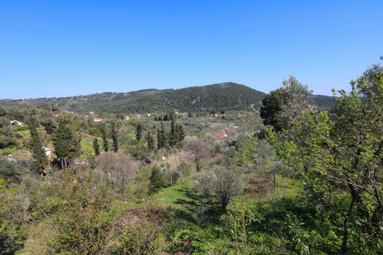 Alikias Holiday home