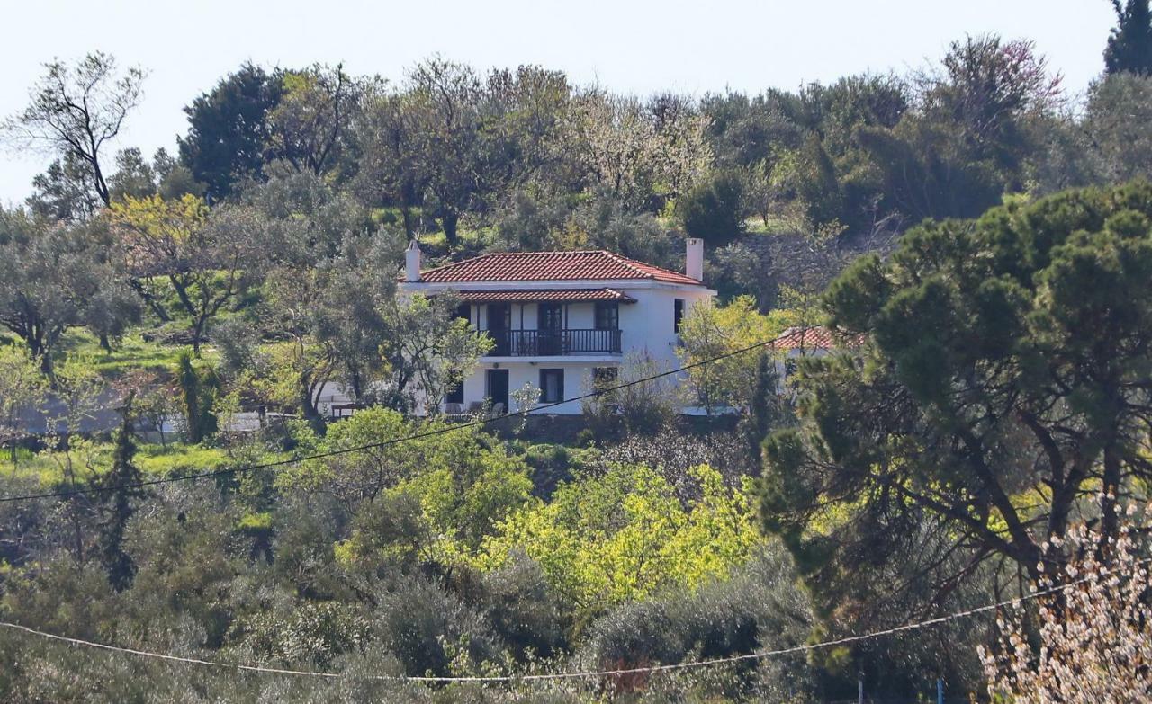 Alikias Panormos (Skopelos)
