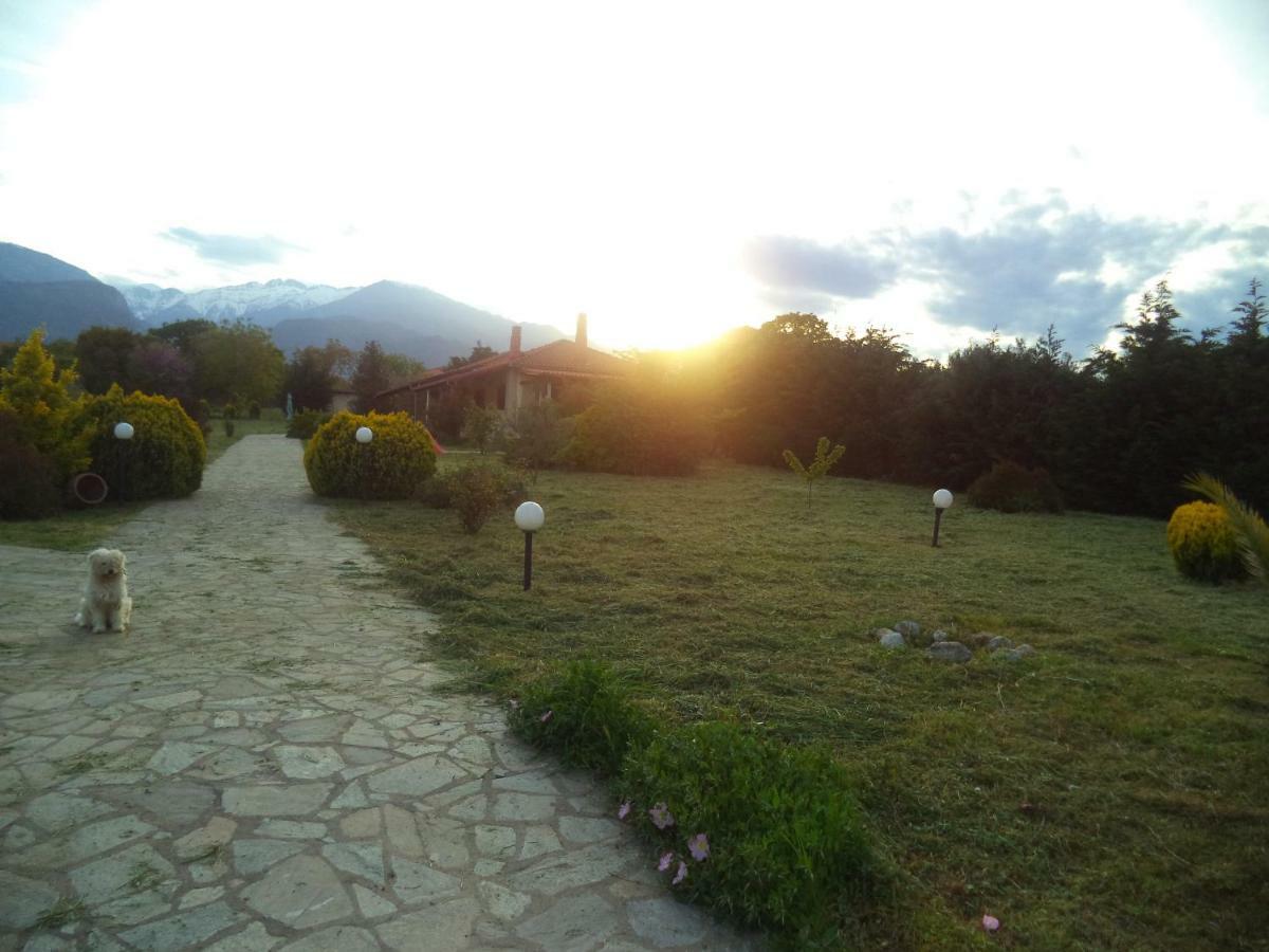 Casa Consta Olympus Holiday home Litochoro
