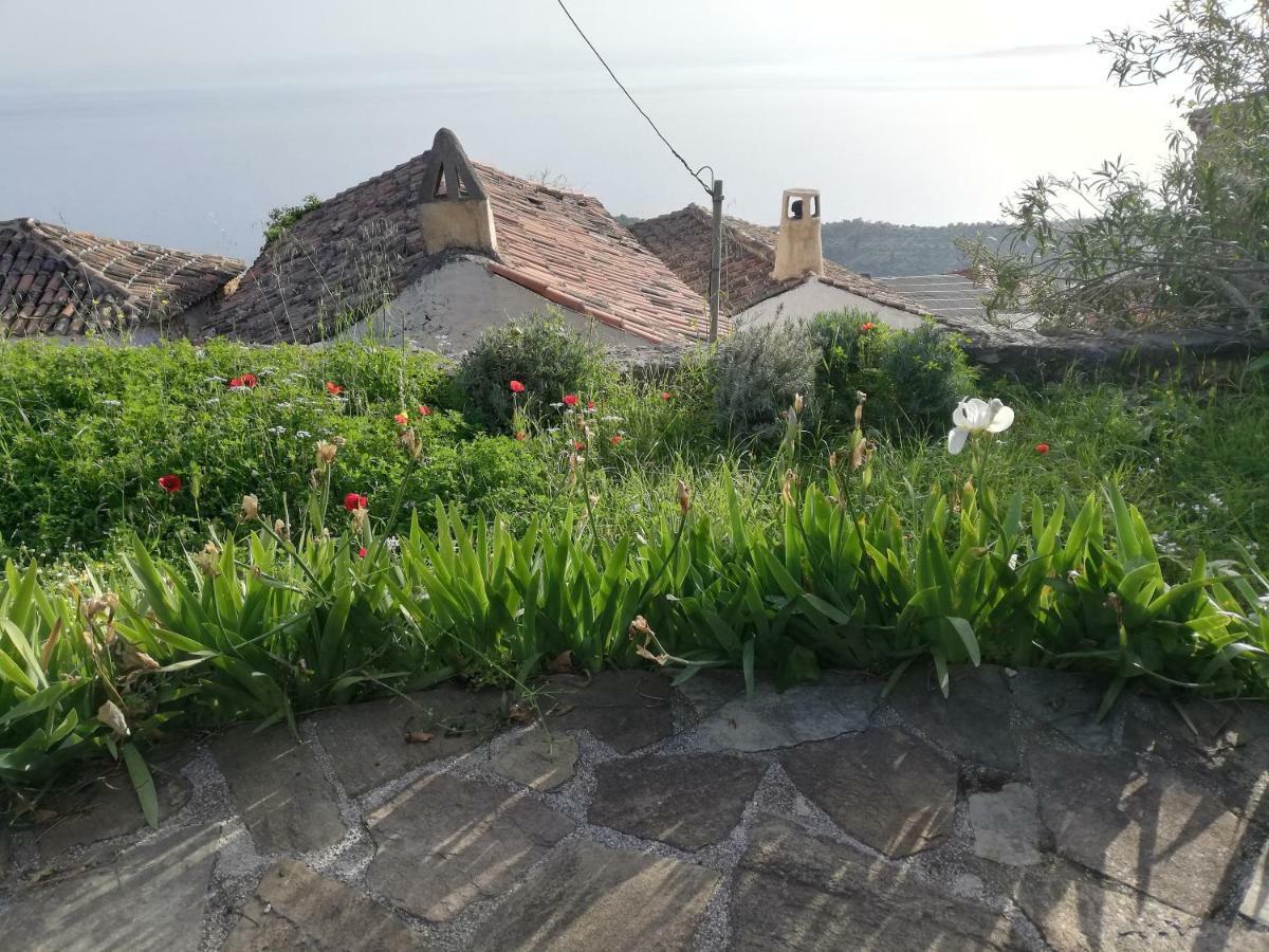 The Traditional Hause With The View Leonidio