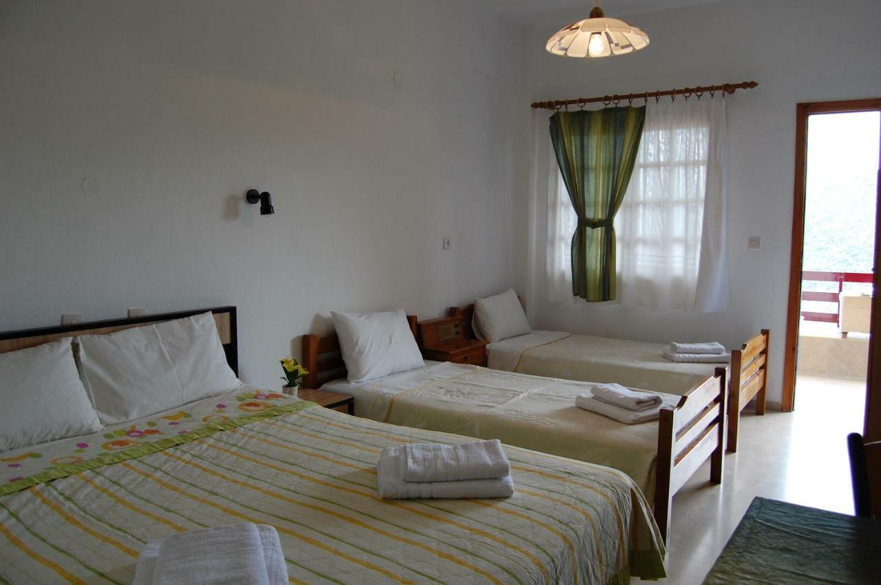 Zografia Guest house *