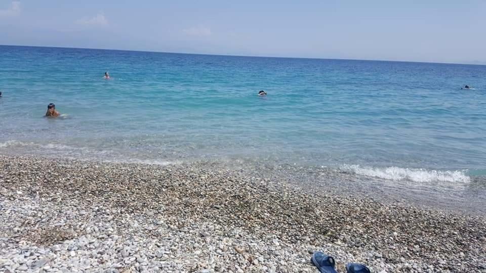 ενοικιαζόμενα πιτσαδιώτη Kiaton