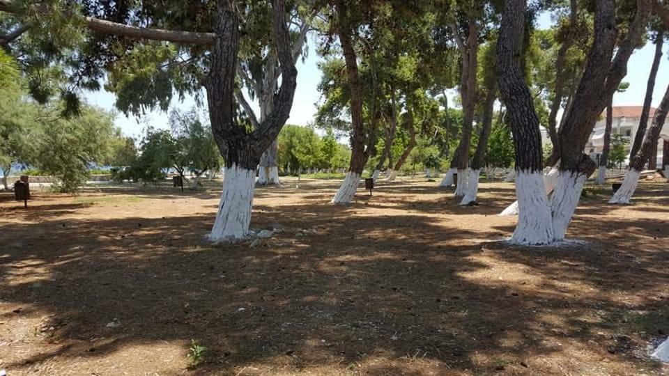 ενοικιαζόμενα πιτσαδιώτη * Kiaton