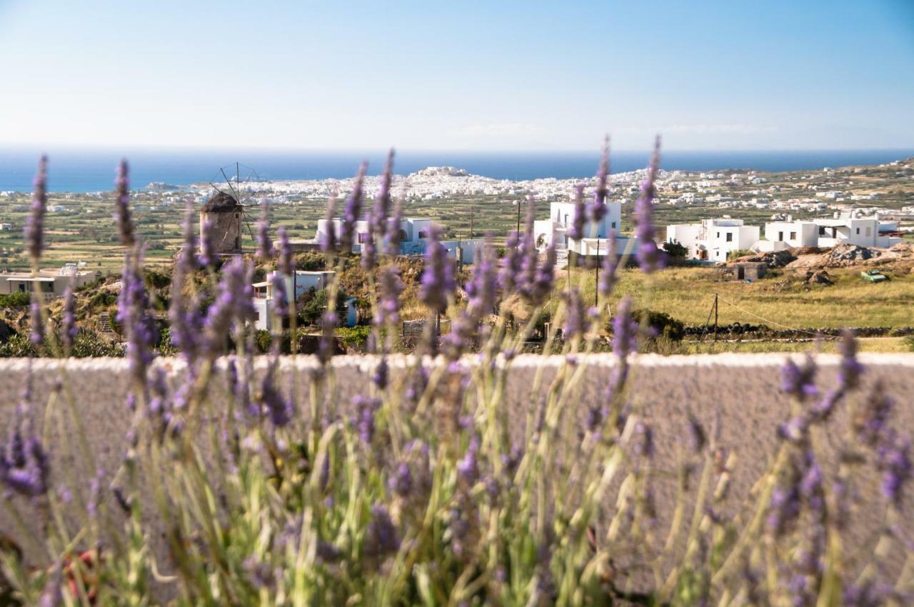 Apartment Naxos View *