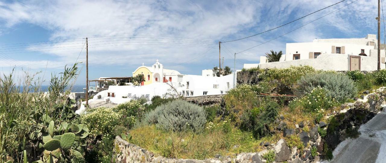 Guest house White Grape
