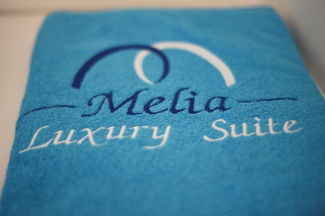 Melia Luxury With Pool Holiday home Nea Iraklitsa