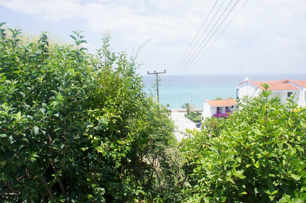 Possidi Aigaiopelagitika Ground Floor Beachside *
