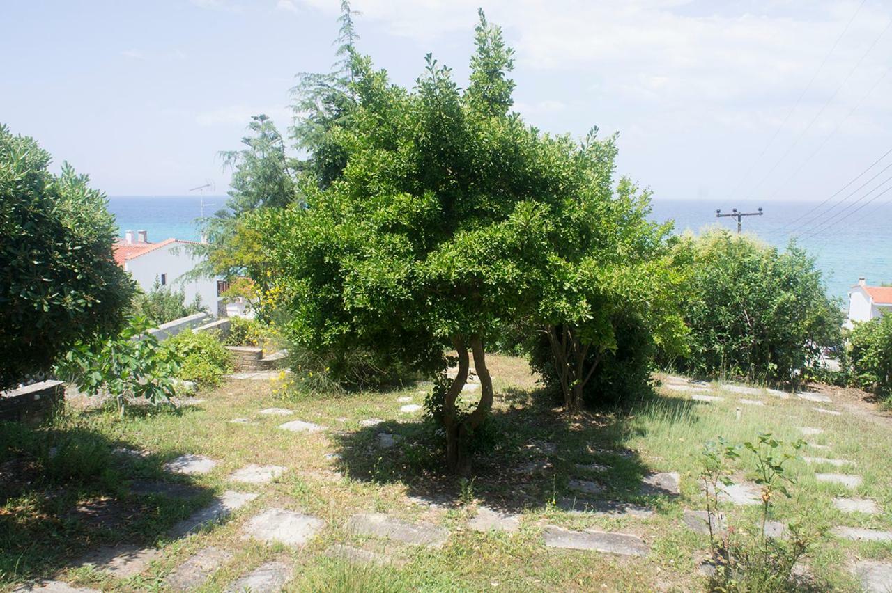 Possidi Aigaiopelagitika Ground Floor Beachside Kalandra