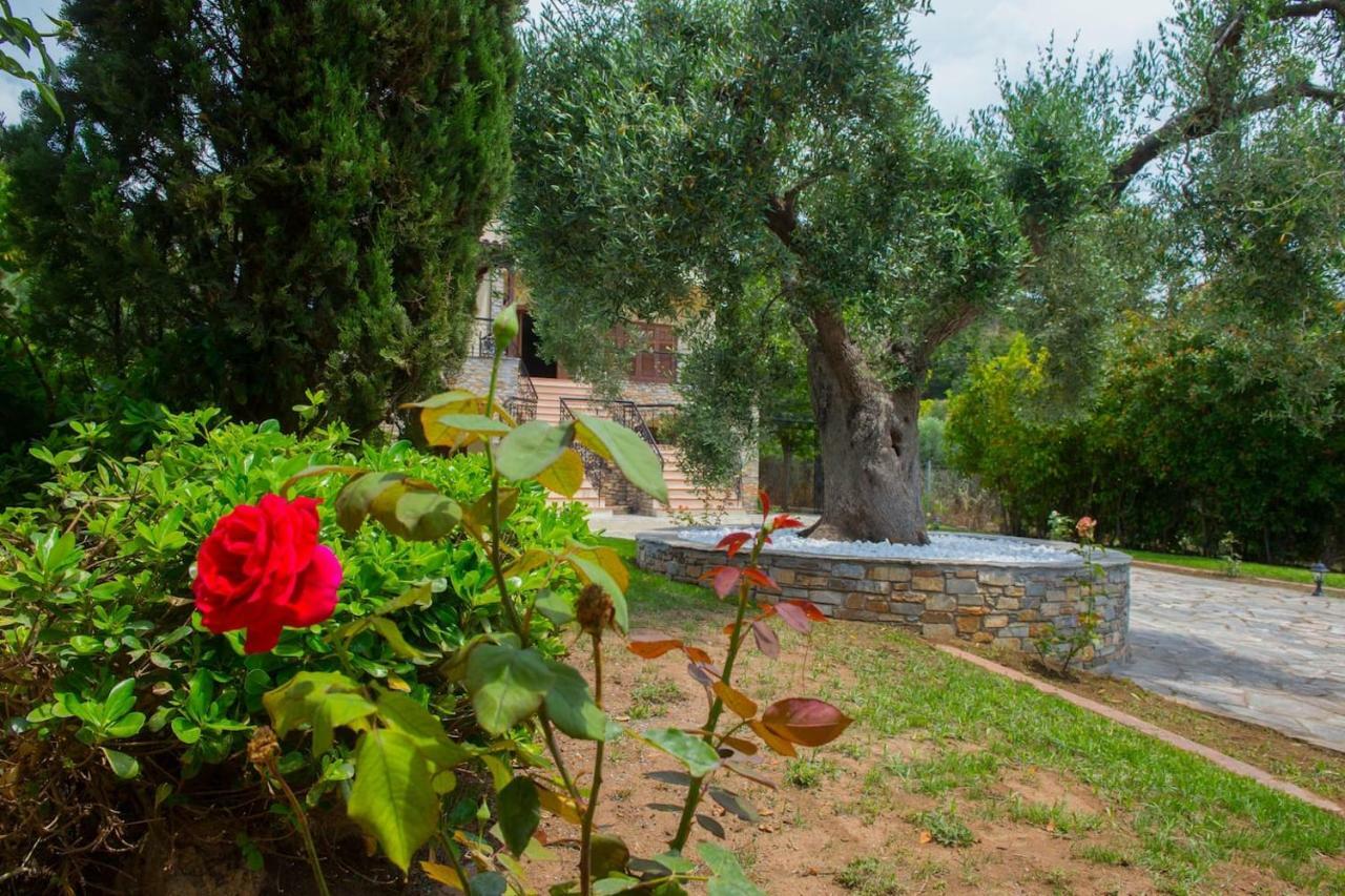 Villa Anna