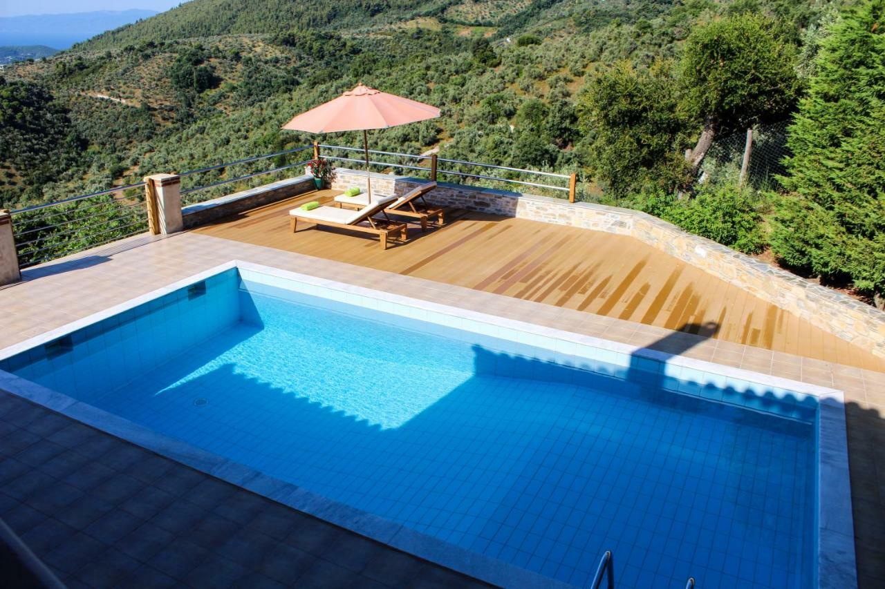 Zaki Villa *