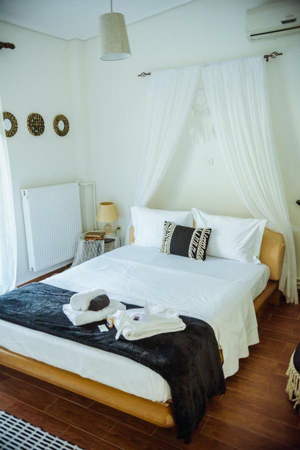 Akadimia Luxury Villa *
