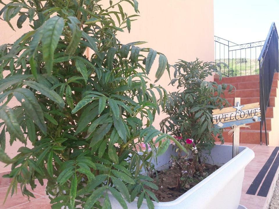 Apartment Rodanthy Iv *