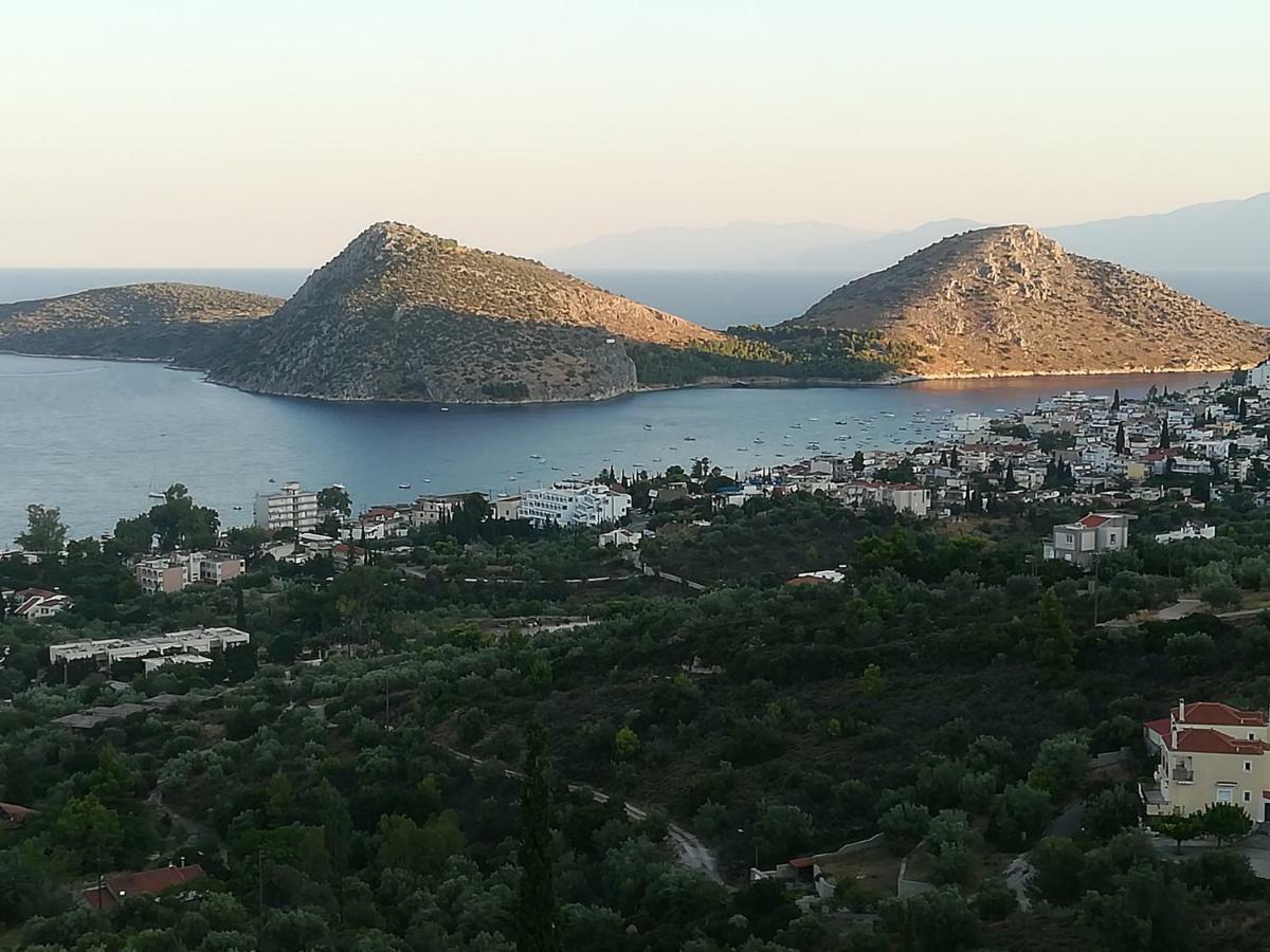 Holiday home Stone House In Olive Grove *
