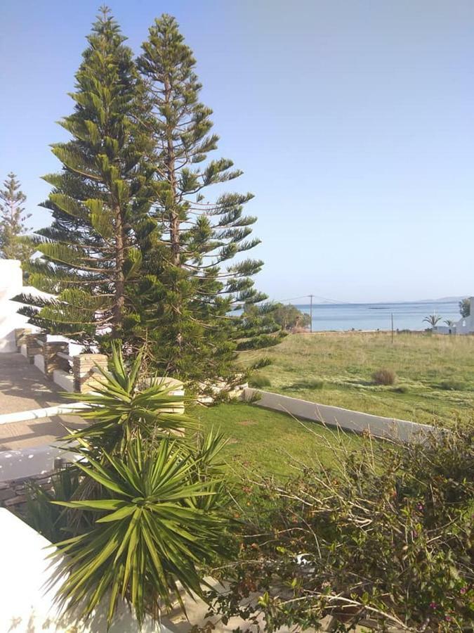 Apartment Albatross Agios Sostis (Tinos)