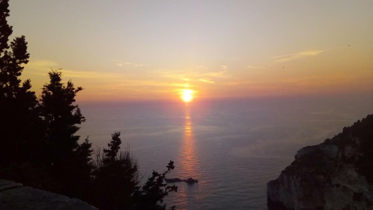 Olive Garden, Kastanida - Paxoi Apartment Gaios