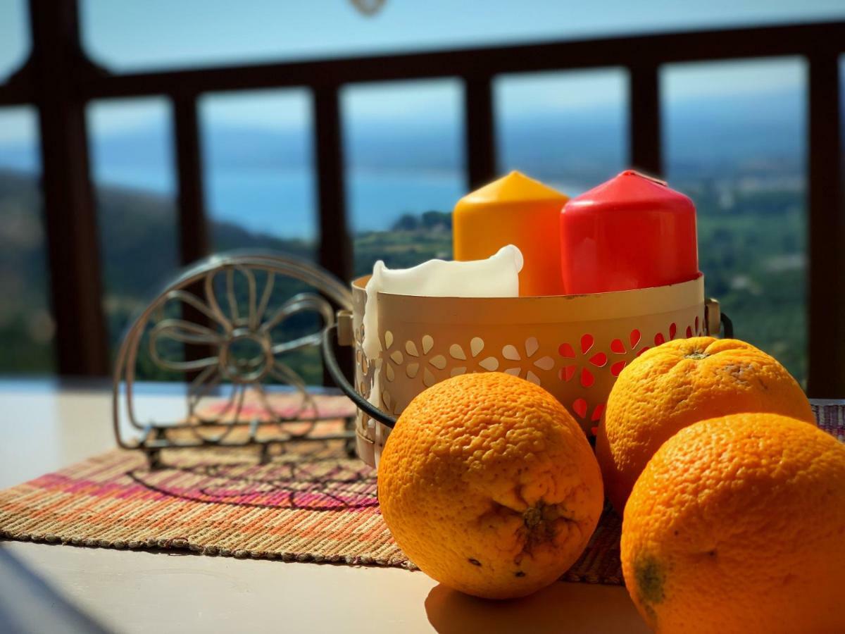 Apartment Carnation - Morfi Village
