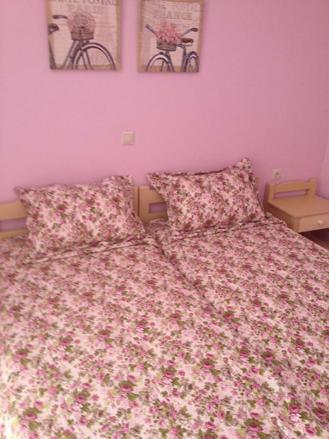 Erato1 Guest house *