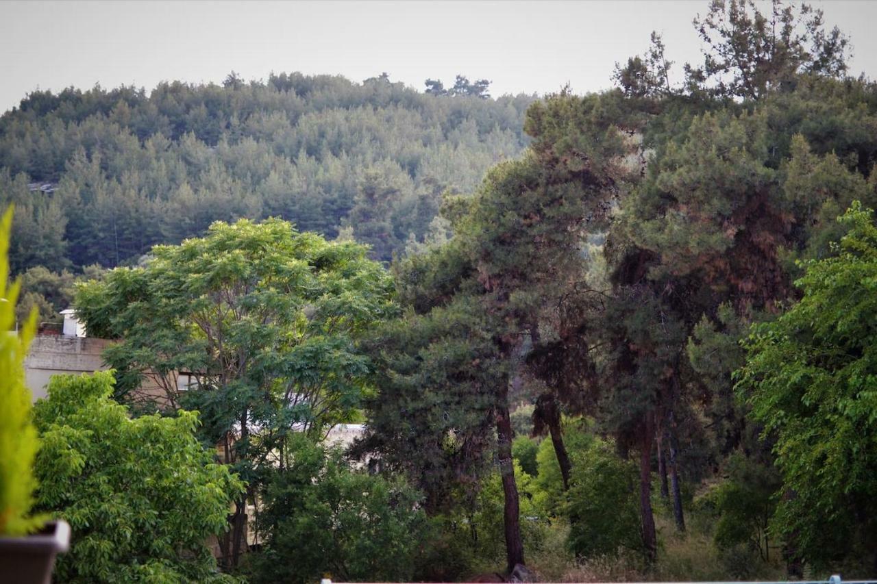 Forest 22 Apartment