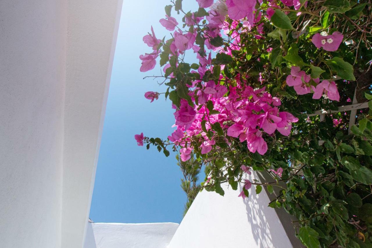 Holiday home Aiolos Palekastro