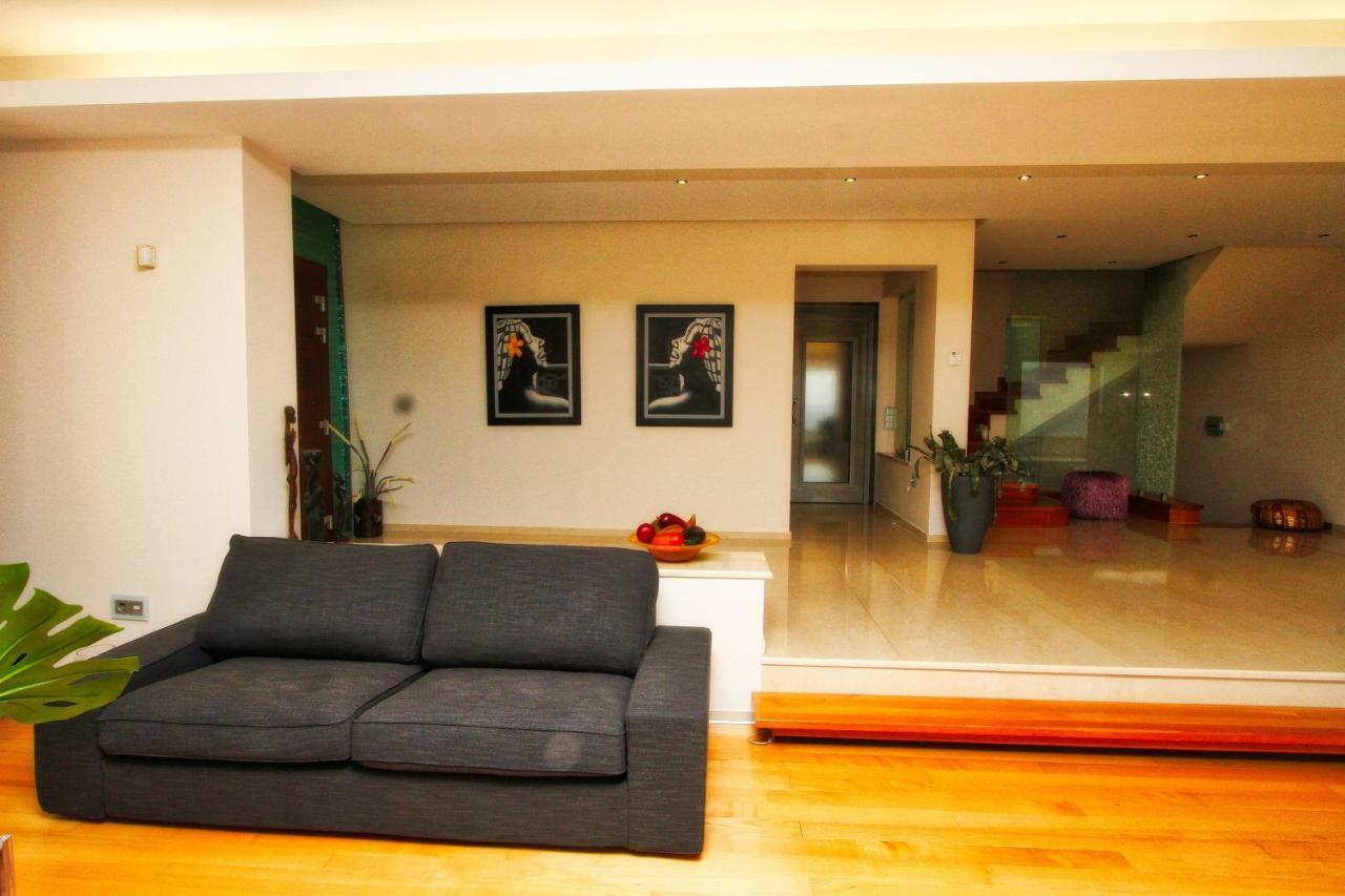 Apartment Aerides Luxury Palaiontsiflikion