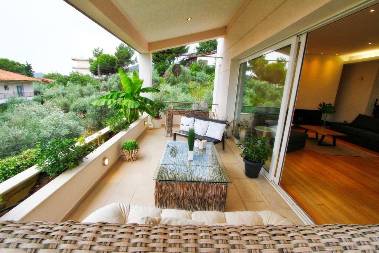 Apartment Aerides Luxury Palaiontsiflikion